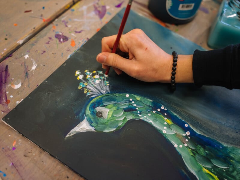 A close up of a hand painting a peacock in acrylics